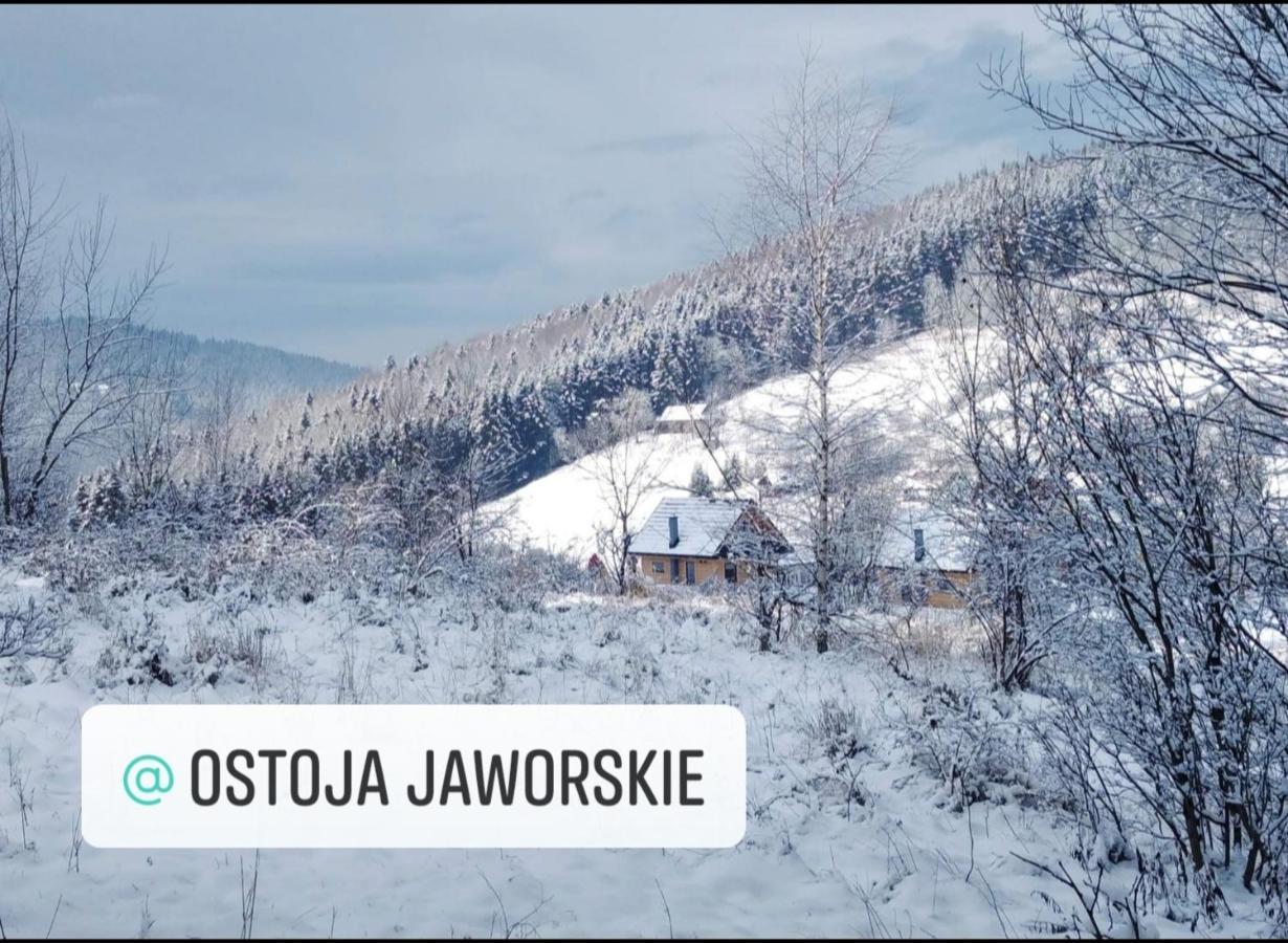 Ostoja Jaworskie Stryszawa Eksteriør bilde